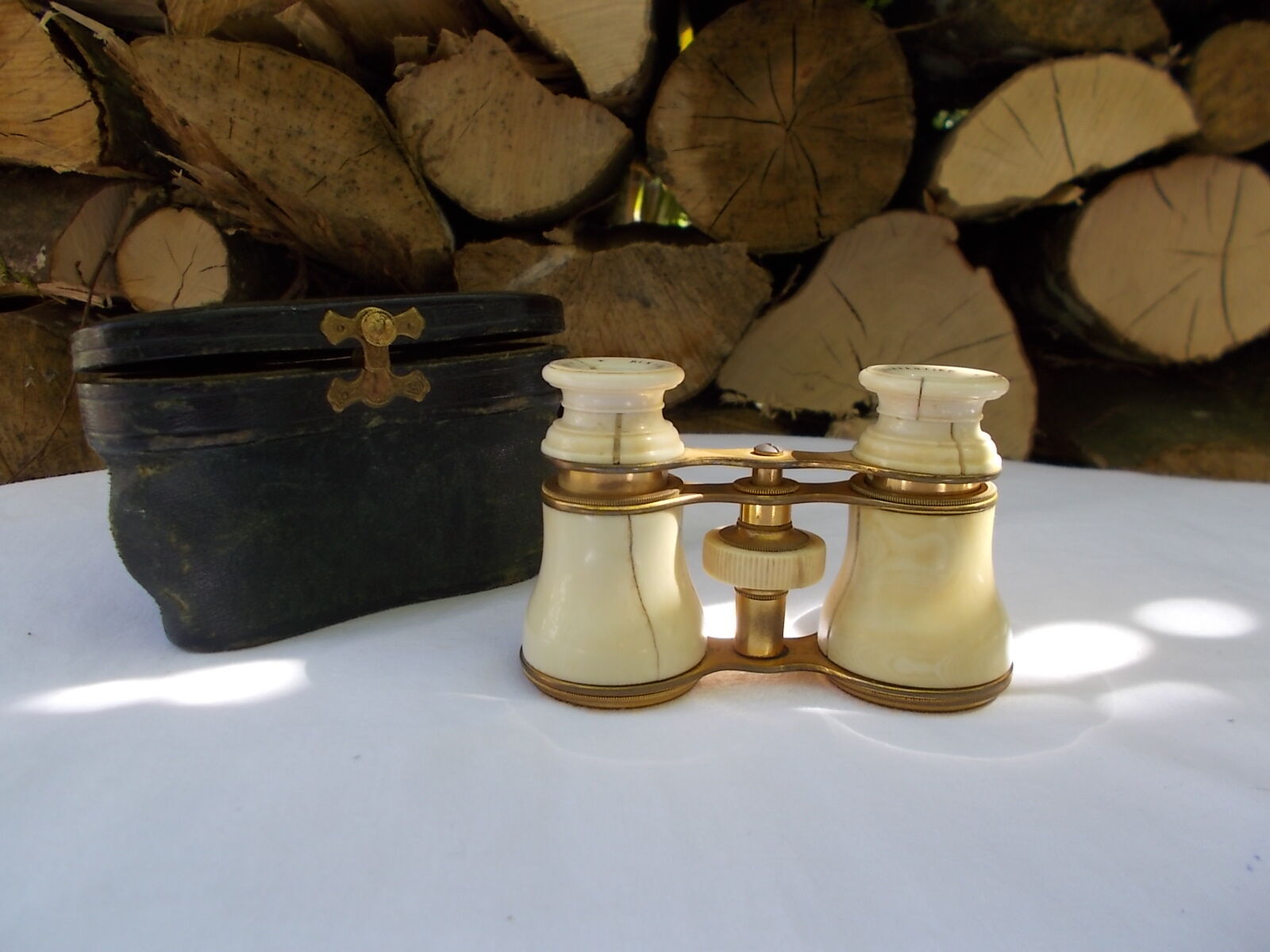 Opera or theatre twins