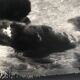 Rosine nusimovici, untitled (cloud i), c 1980. black and white silver print