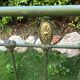 19th iron bed