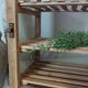 Garde manger campagnard ancien