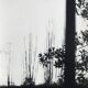 Rosine nusimovici, untitled (window), c 1980. black and white silver print