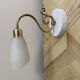 Paire appliques col de cygne laiton tulipe en verre blanc opaline