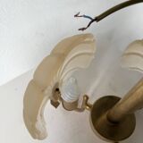 Shell and brass chandelier from the 70s