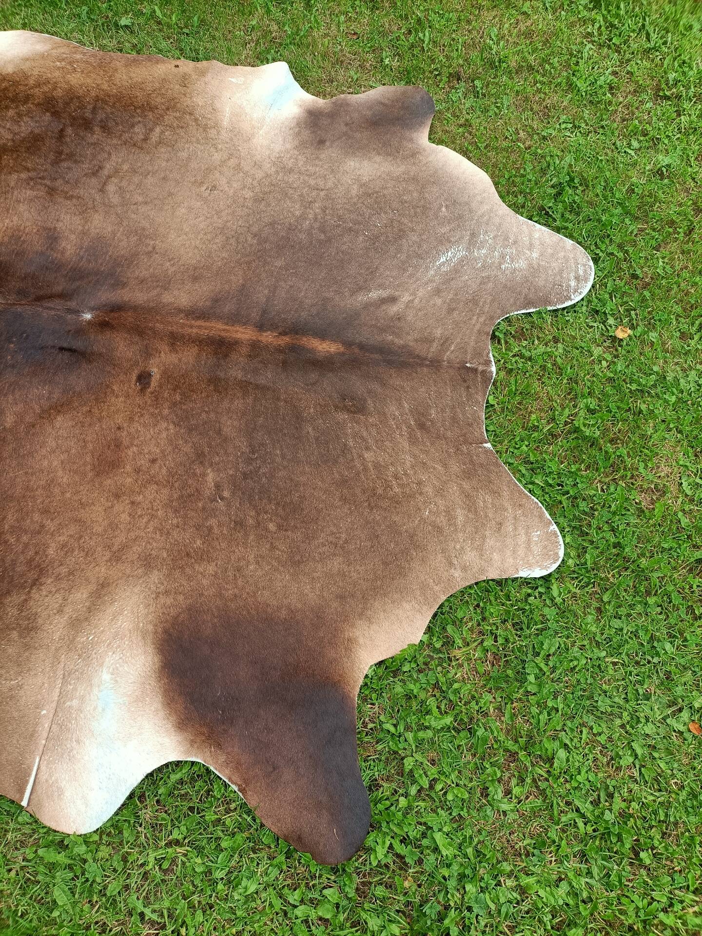 Cowhide Rug