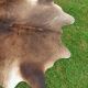 Cowhide Rug