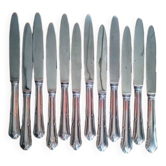 12 dixi knives in silver metal, filet model