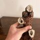 Ceramic Sculpture Cocker Spaniel 1950 1970