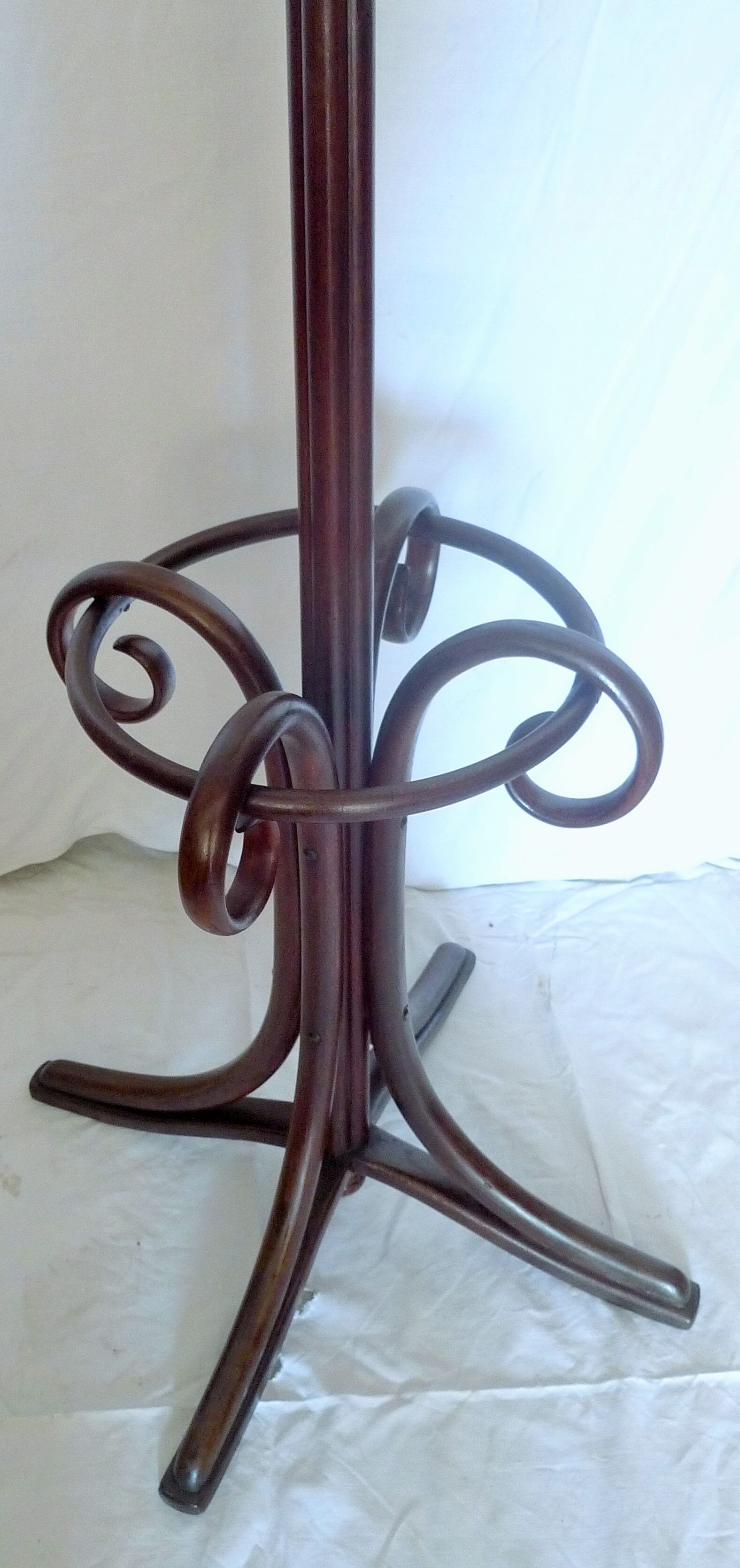 Wearing parrot coat 8 branches