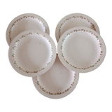 5 plates Terre de fer Longwy