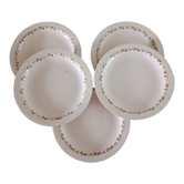 5 assiettes terre de fer Longwy