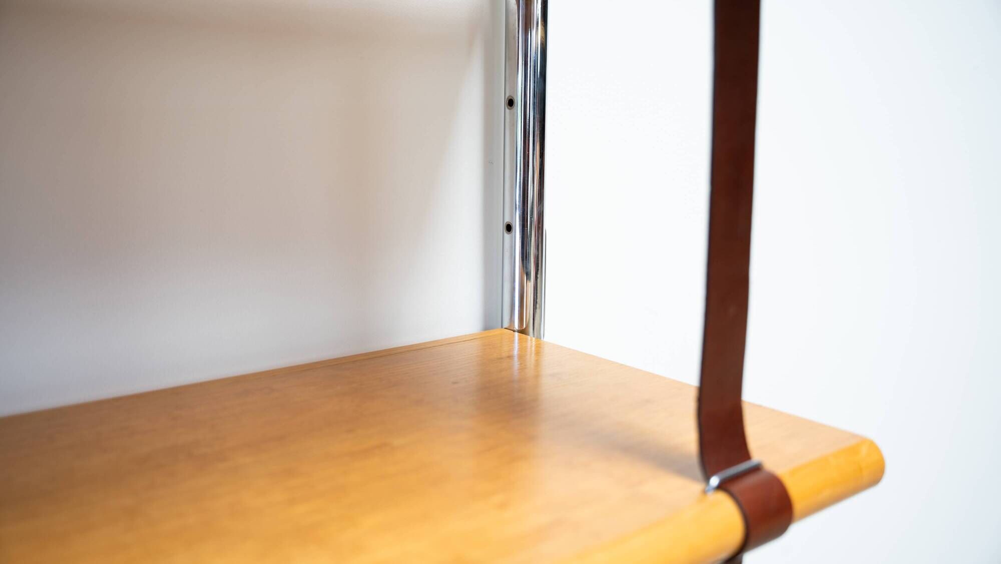 Jumbo Bookcase by Luigi Massoni for Poltrona Frau