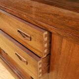 Scandinavian bookcase in 1960 rio rosewood