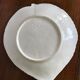 Dish in dabbling