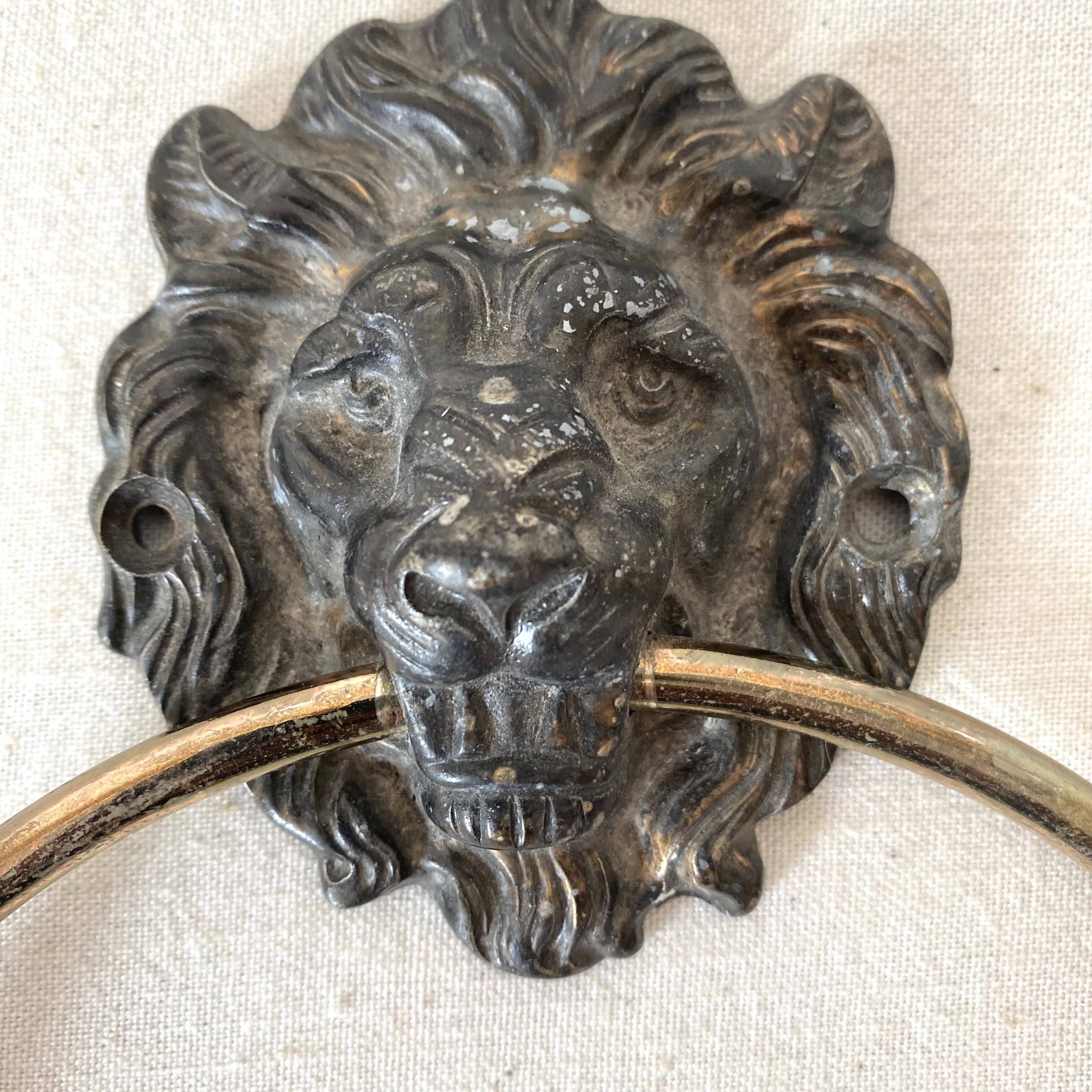Lion head wall towel holder