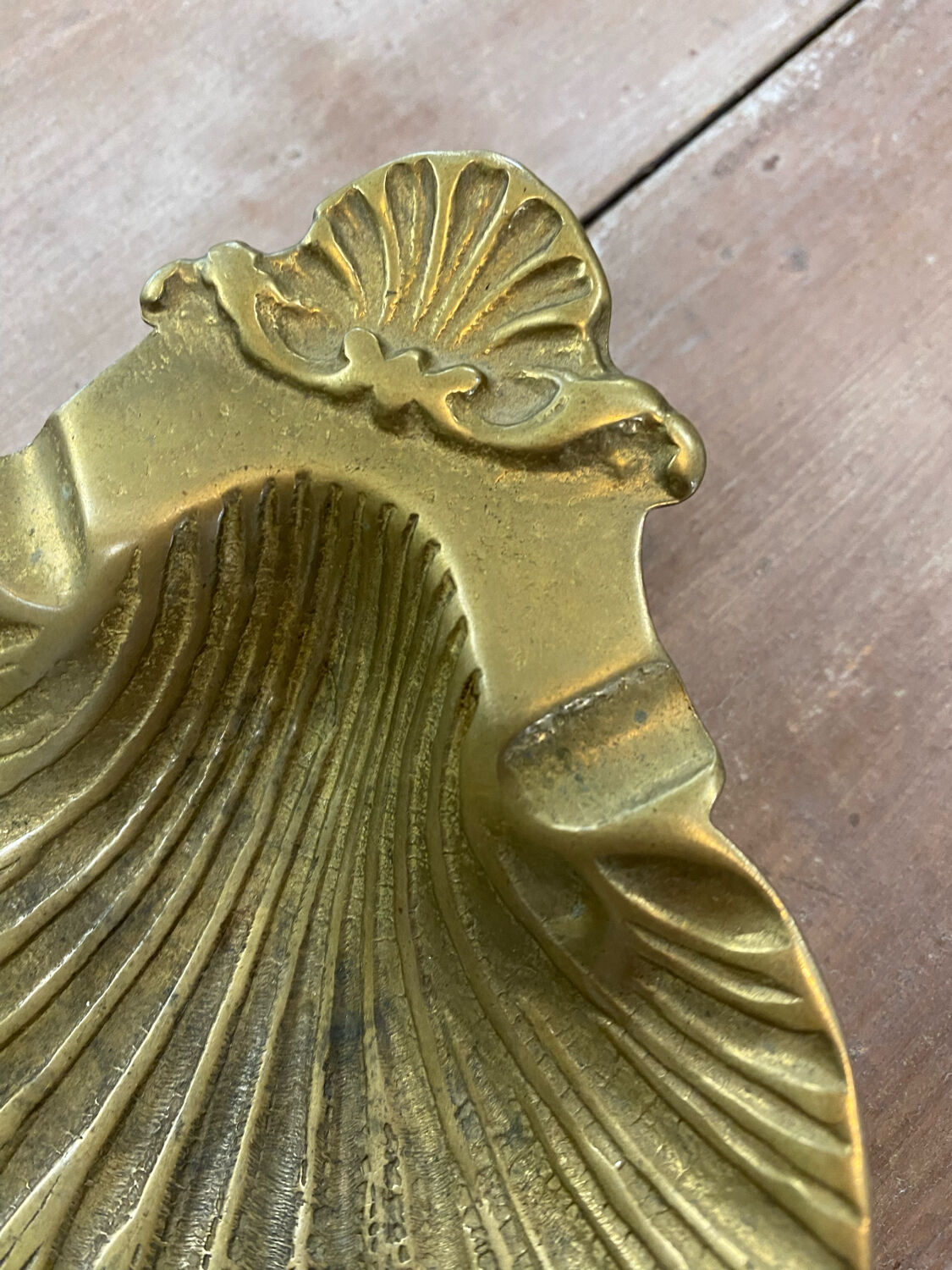 Empty pocket scallop shell