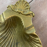 Empty pocket scallop shell