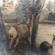 Old painting oil on canvas signed and dated 36