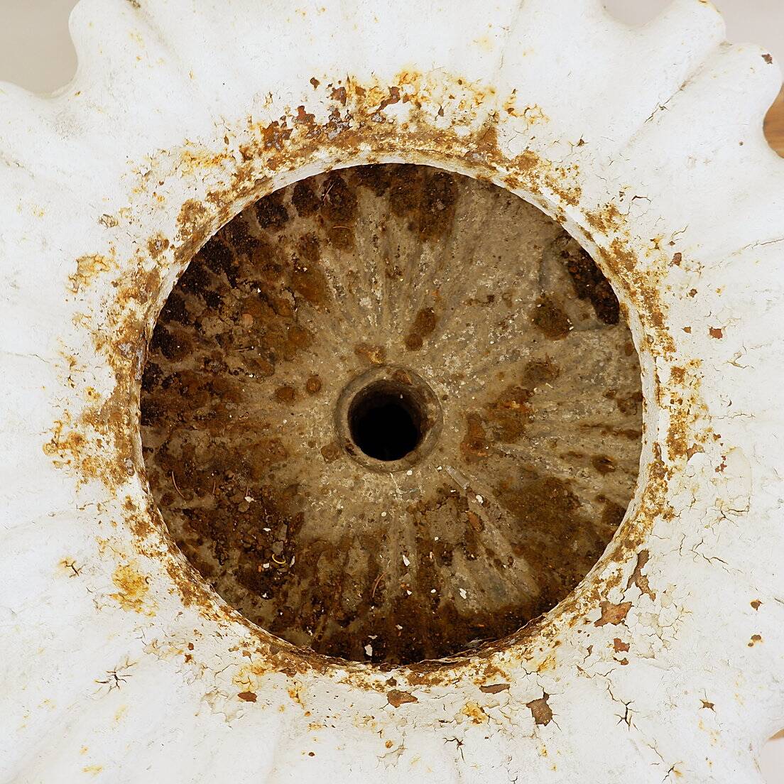 19th century cast iron basin, lion head handles