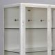 Vintage Steel And Glass Medical Cabinet, 1960s