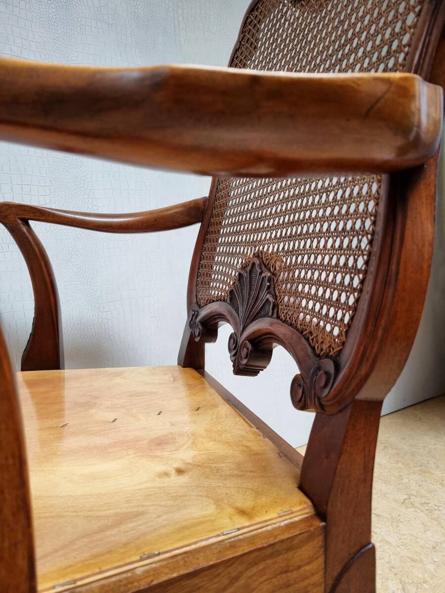 Chippendale Bergere Armchair, Carved Mahogany with Cane and Lion Claw Ball