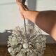 "Dandelion" or "Sputnik" chandelier, 1950s, designed by Emil Stejnar