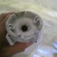 Vintage ball wall light in white opaline - Porcelain base - Diameter