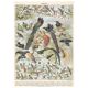 Planche lithographie les oiseaux 1900