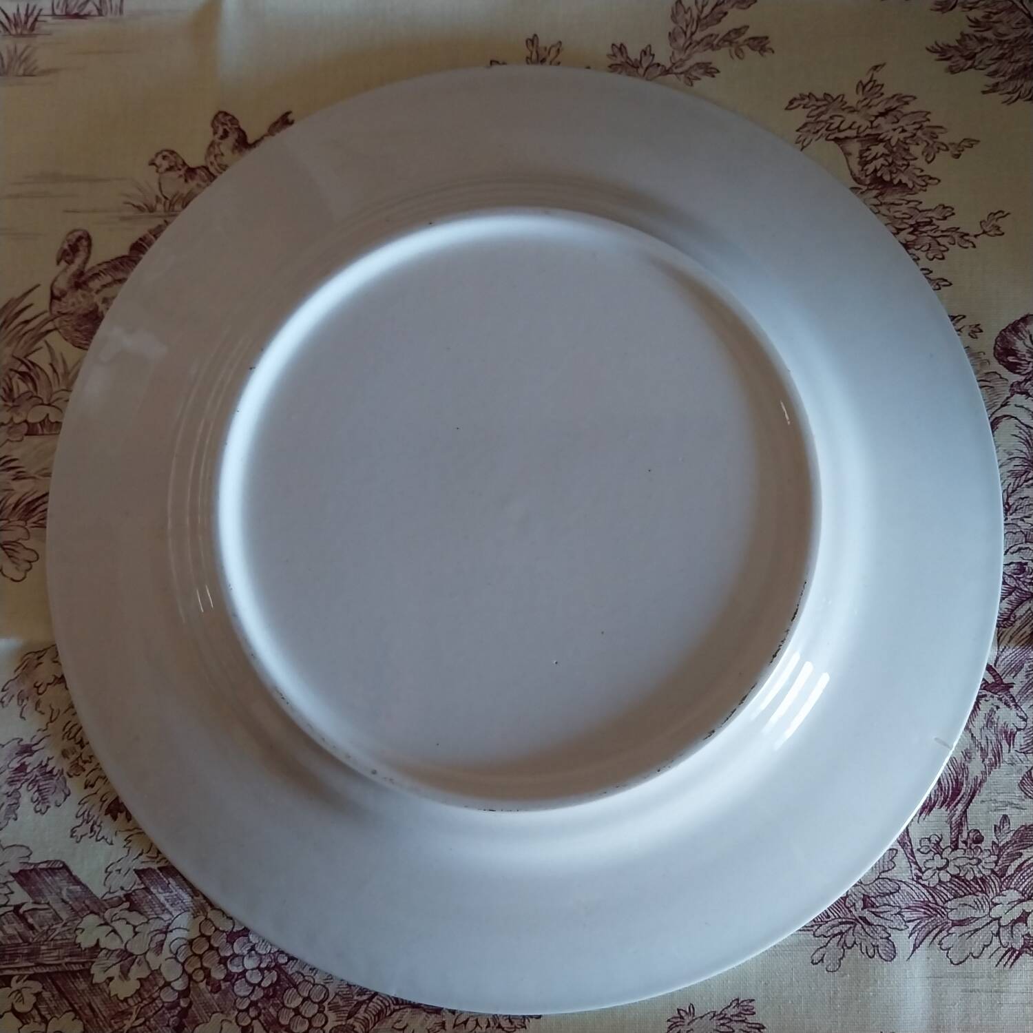 Old plates with blue floral decoration.