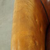 large luxury sheep leather club chair with a unique appearance