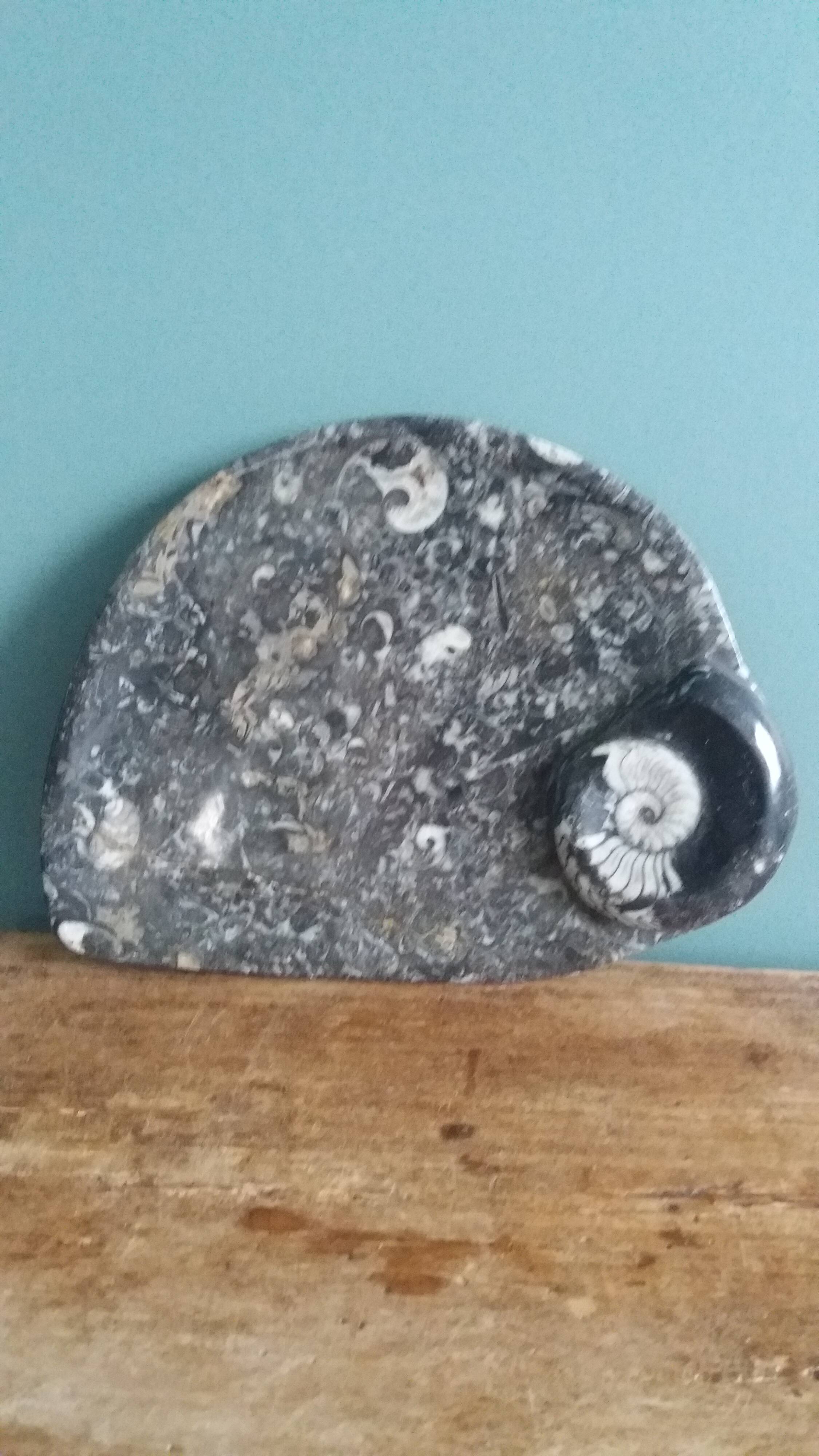 Marble trinket tray with ammonite fossil