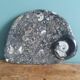 Marble trinket tray with ammonite fossil