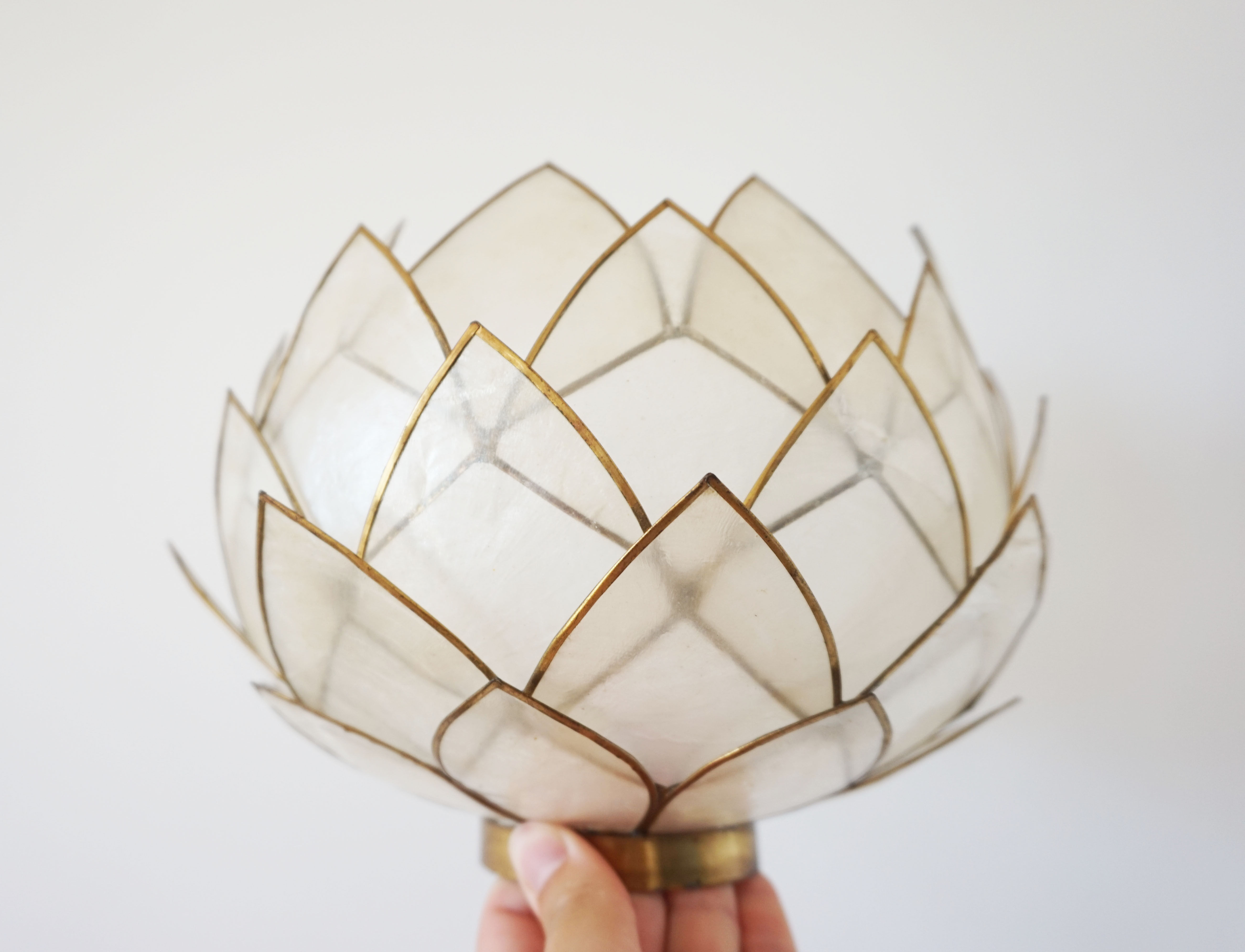 Vintage mother-of-pearl petals sconce