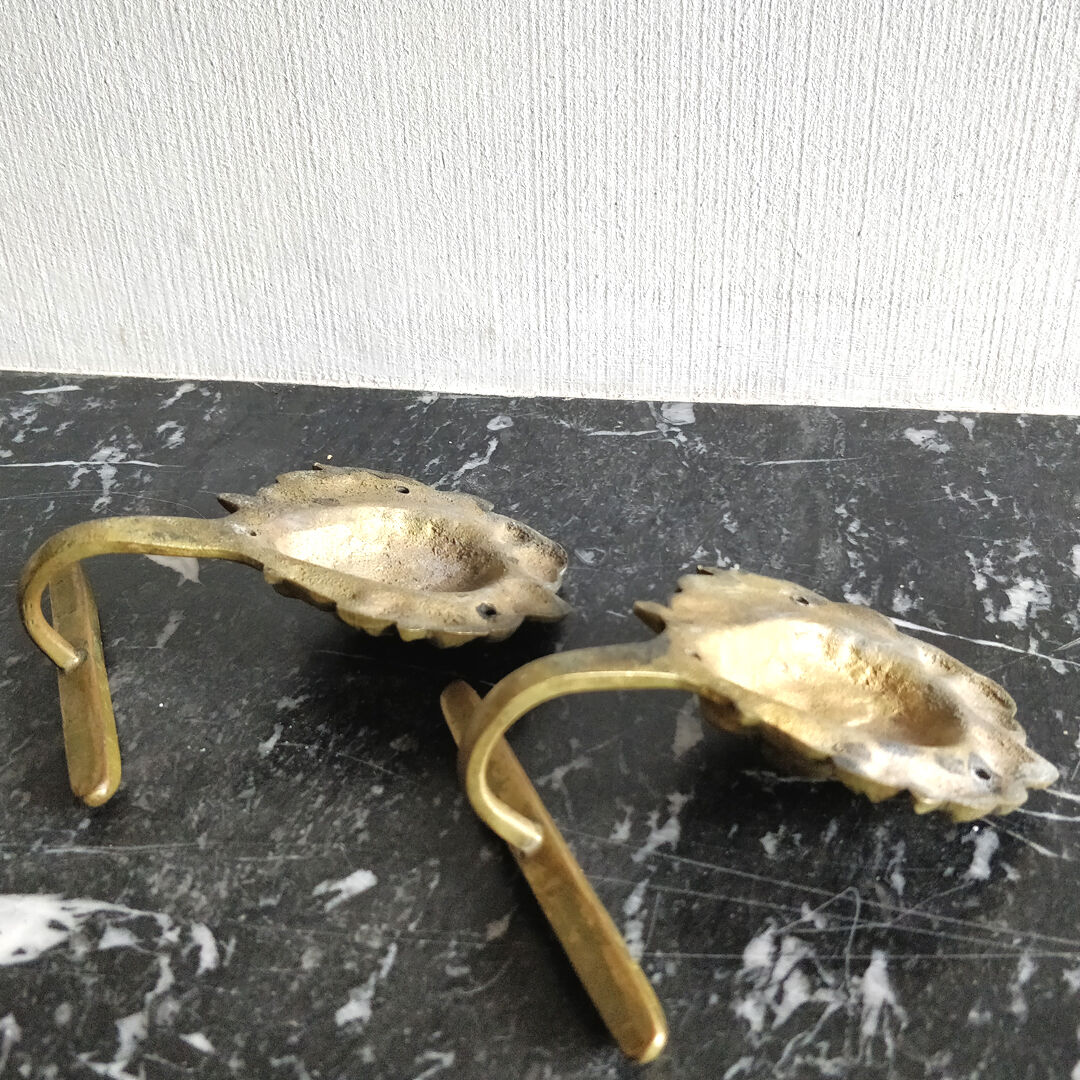 Pair of brass lion head patères