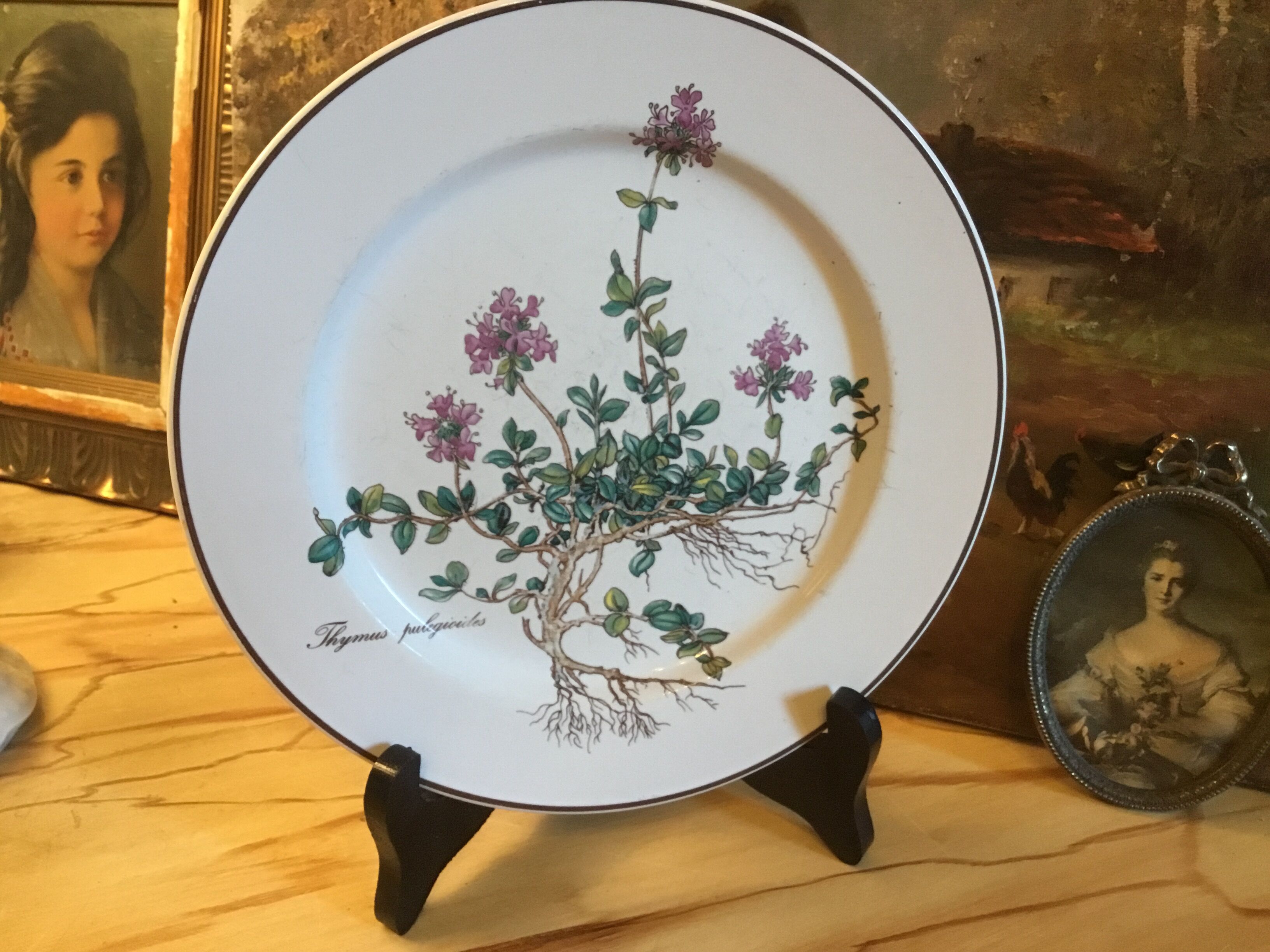 Botanica Villeroy Plates - Boch
