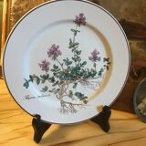 Botanica Villeroy Plates - Boch