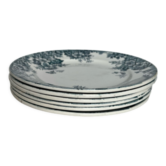 6 assiettes plates en terre de fer