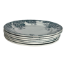 6 assiettes plates en terre de fer