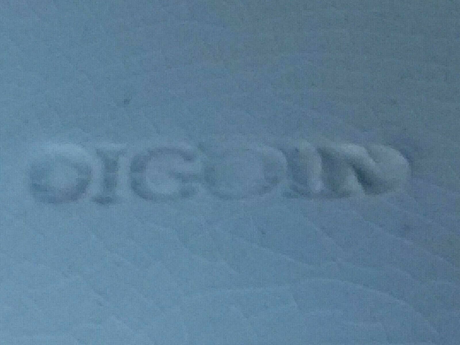 Plate earthenware slurry decoration cherries Digoin early twentieth century