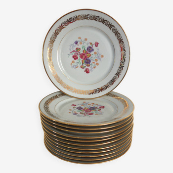 12 vintage PFC Vierzon porcelain dinner plates