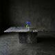 Sculptural coffee table in black and grey marble, postmodern design, years.