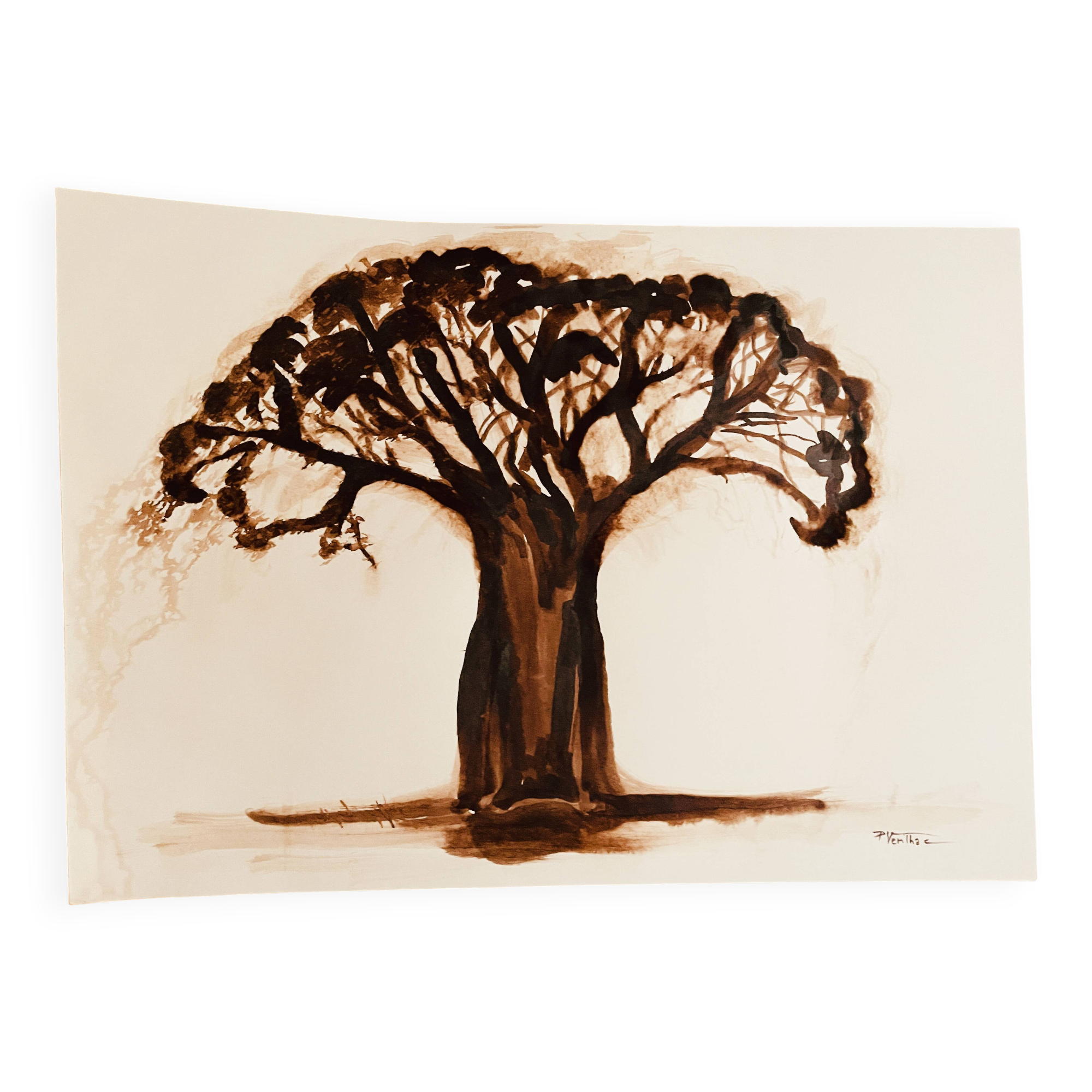 Signed monochrome watercolour painting of a baobab tree, South Africa.