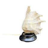 Shell Lamp