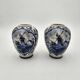 Pair of Delft vases