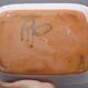 Large vintage ceramic dish depicting a bird - robert picault