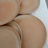 8 stoneware plates