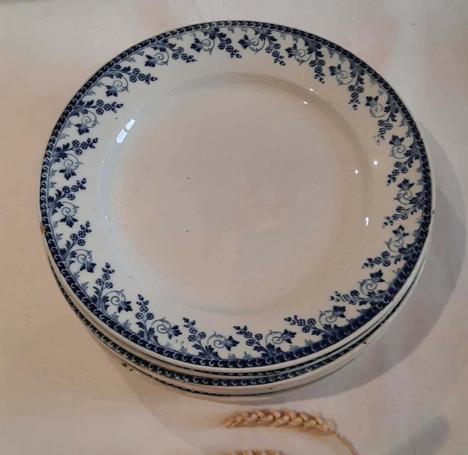 8 assiettes plates Terre de Fer