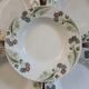23 assiettes + plat anciens U&C Sarreguemines