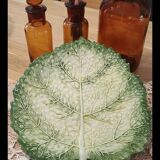 Cabbage leaf plate Barbotine