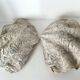Authentic vintage giant bivalve shell, tridacna gigas shell.