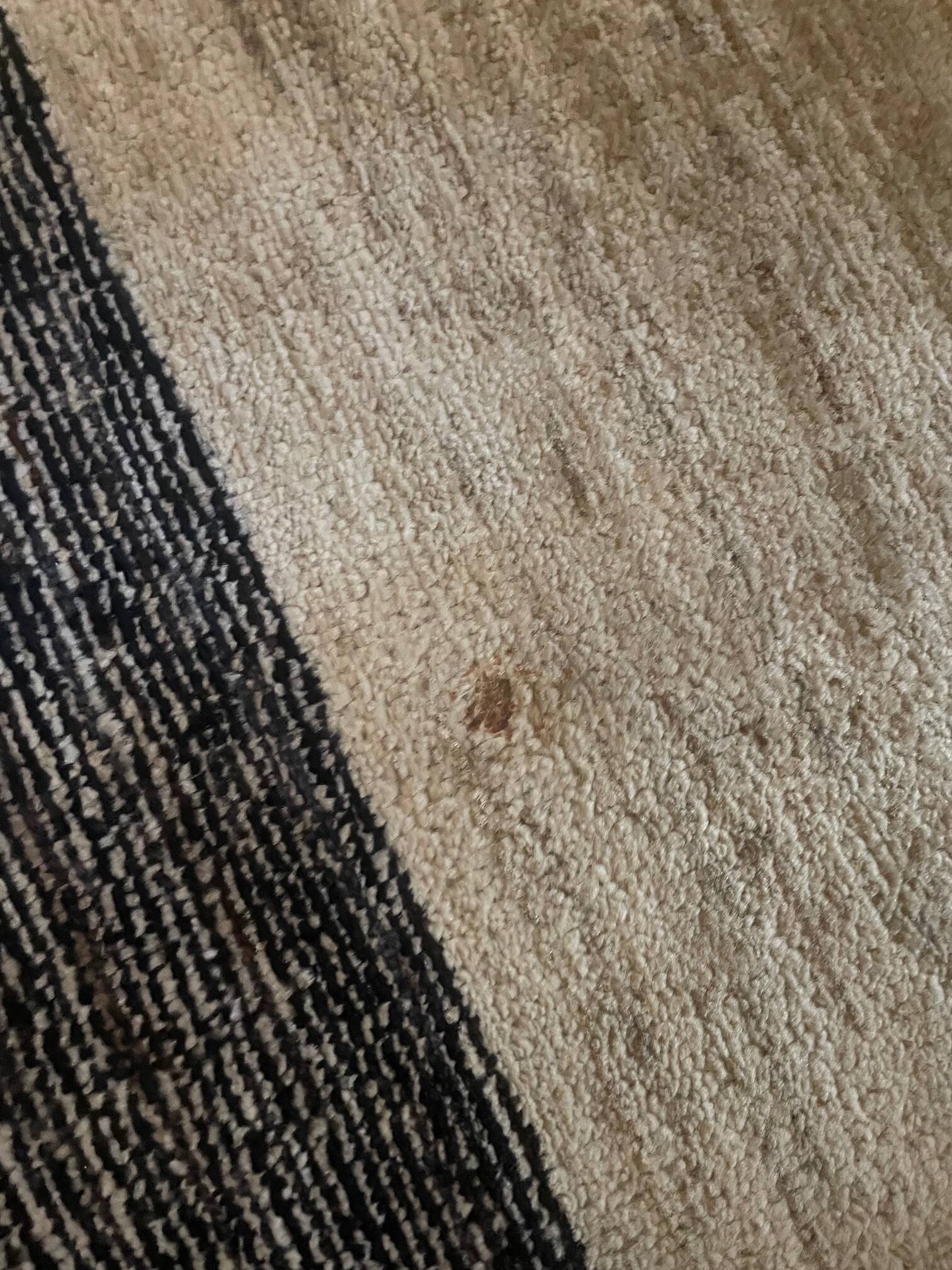 Tapis Nobilis